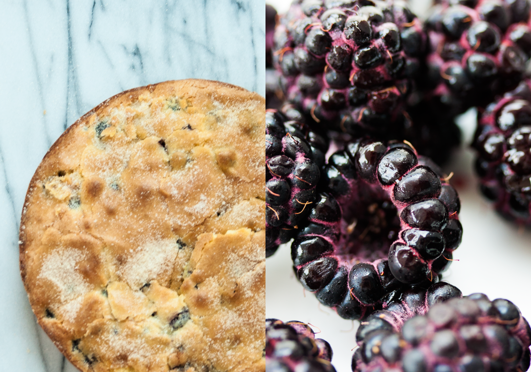 oliveoilcakeandblackraspberries[1]