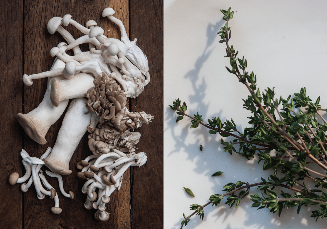 Trumpet Royale, Alba Clamshell, Velvet Pioppini, and Maitake Frondosa Mushrooms | Thyme