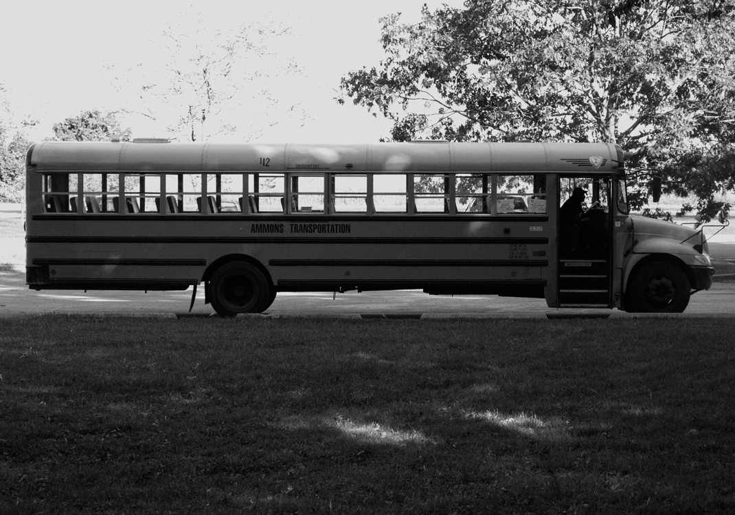 School Bus